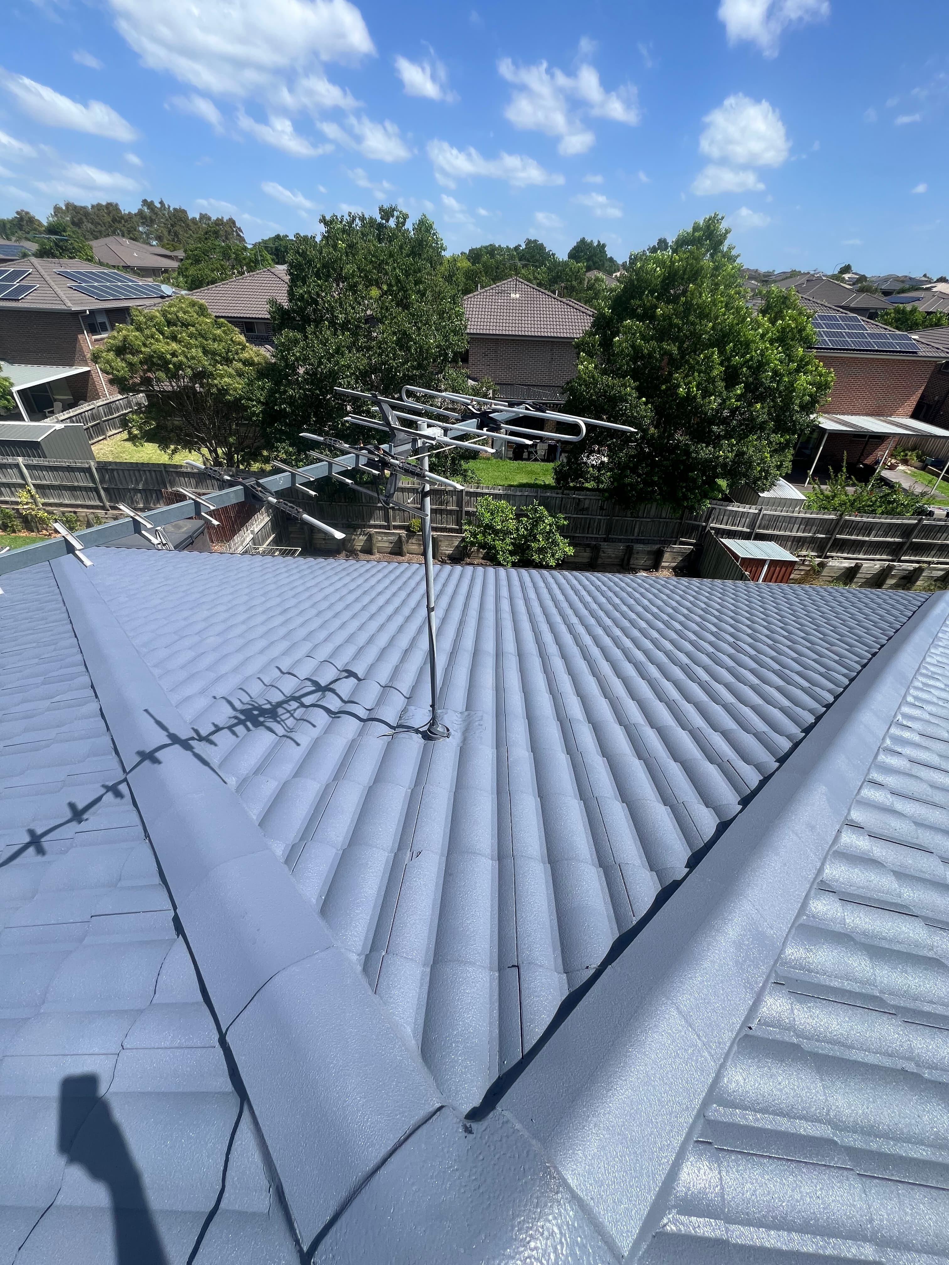 Roof after professional painting