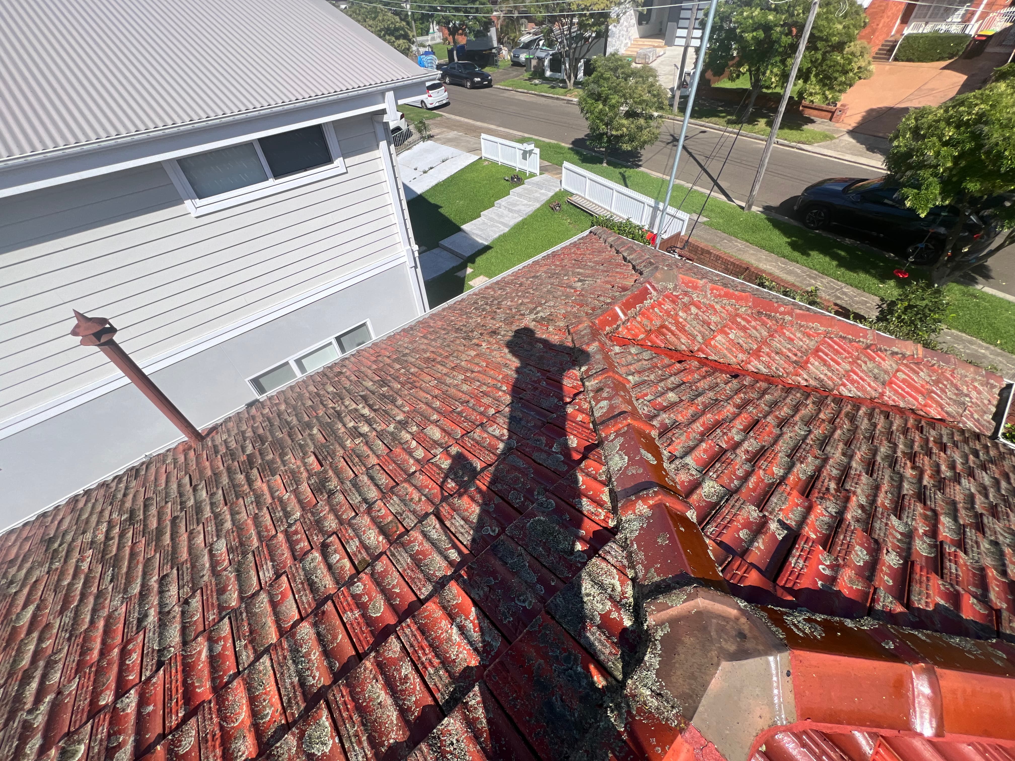 Roof before cleaning