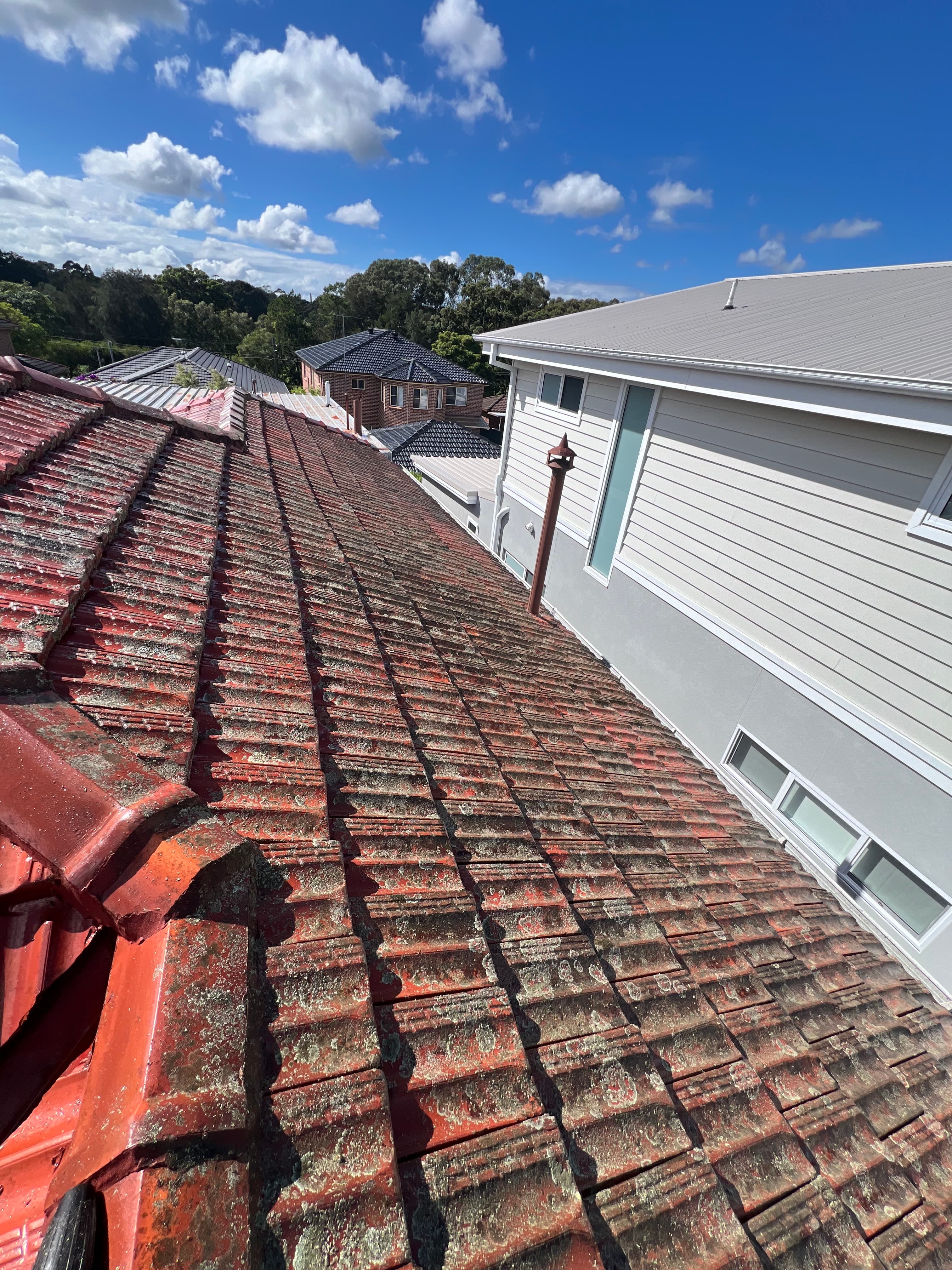 Roof before cleaning