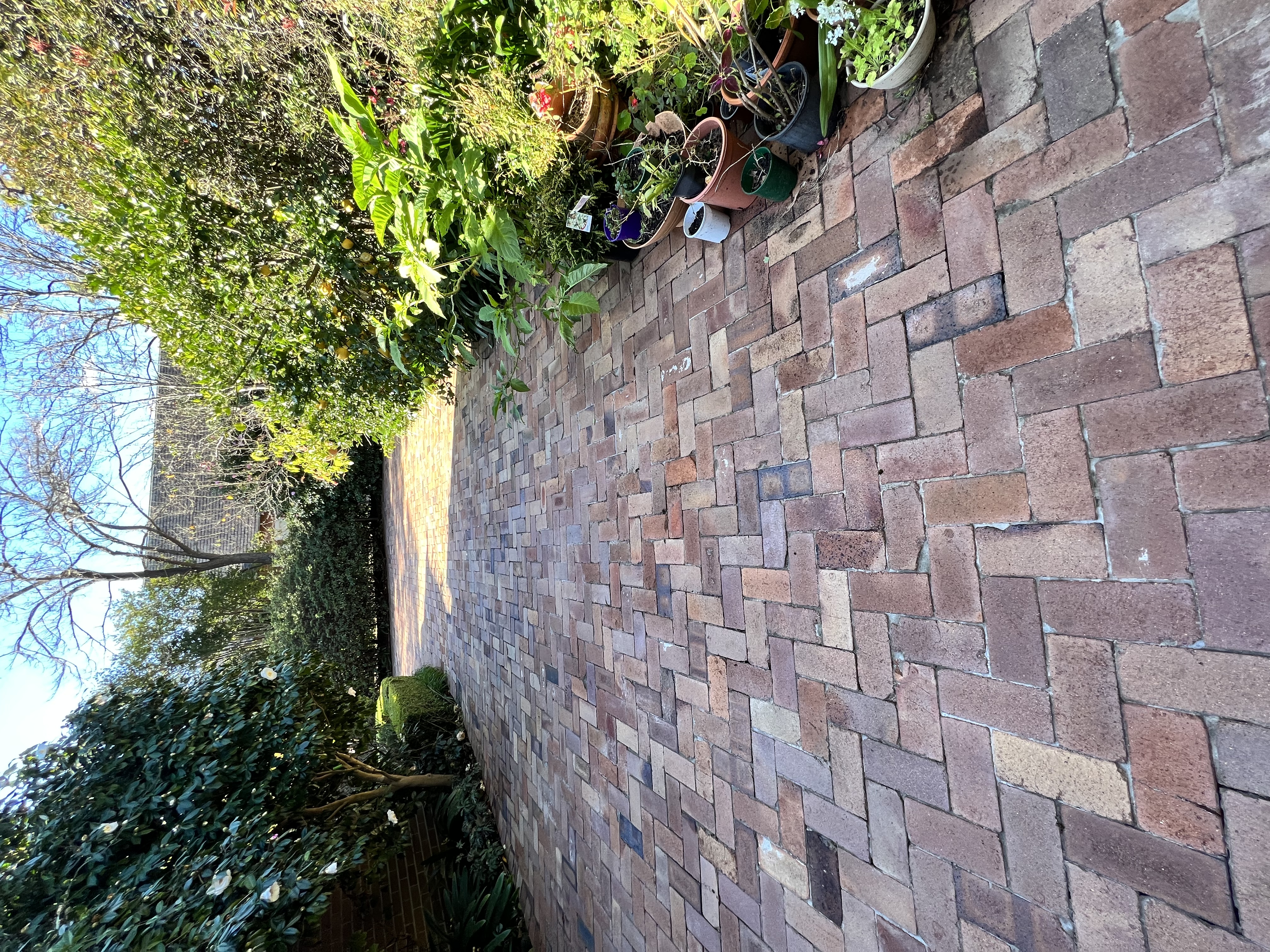 Brick driveway after cleaning