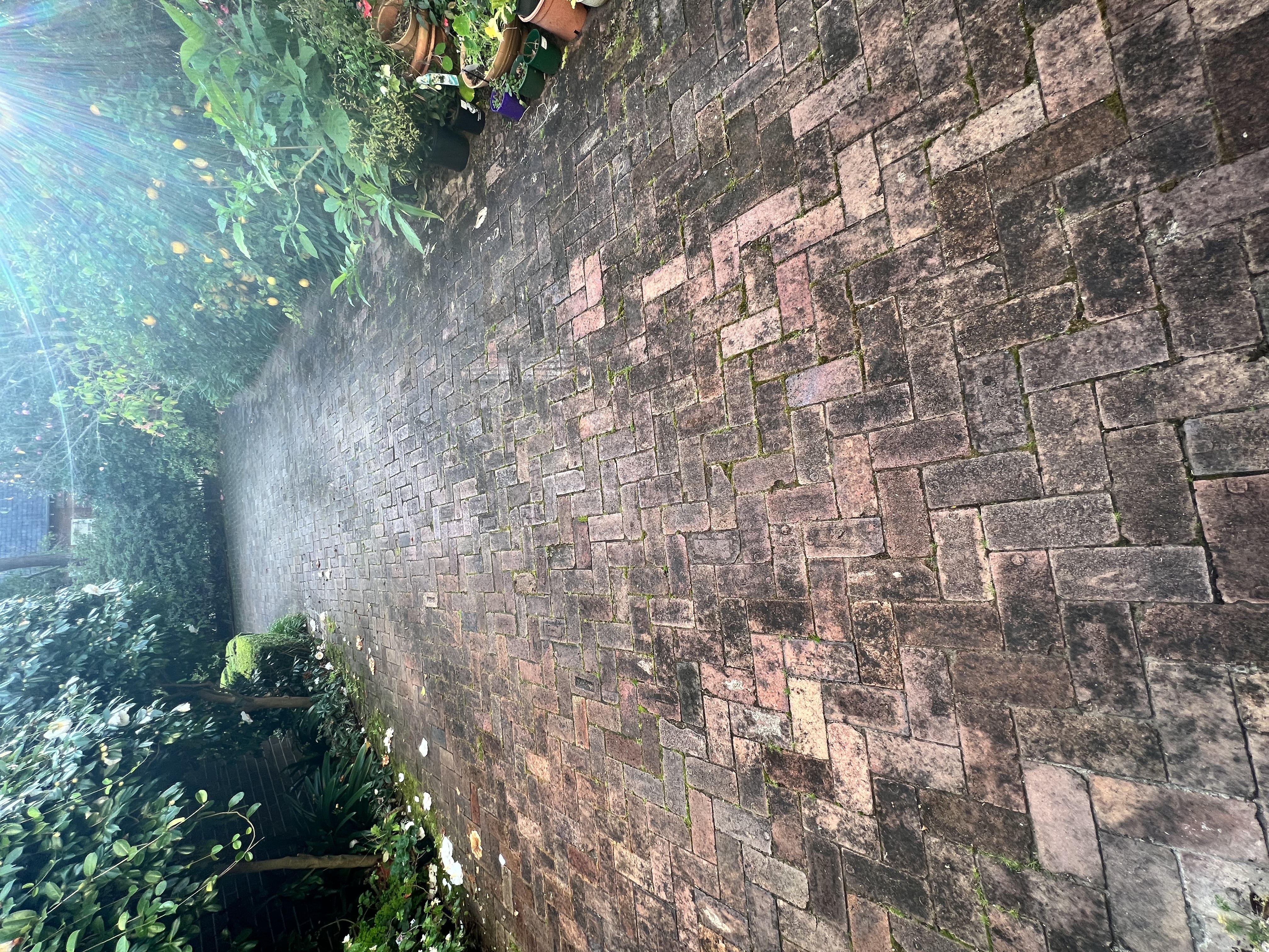 Brick driveway before cleaning