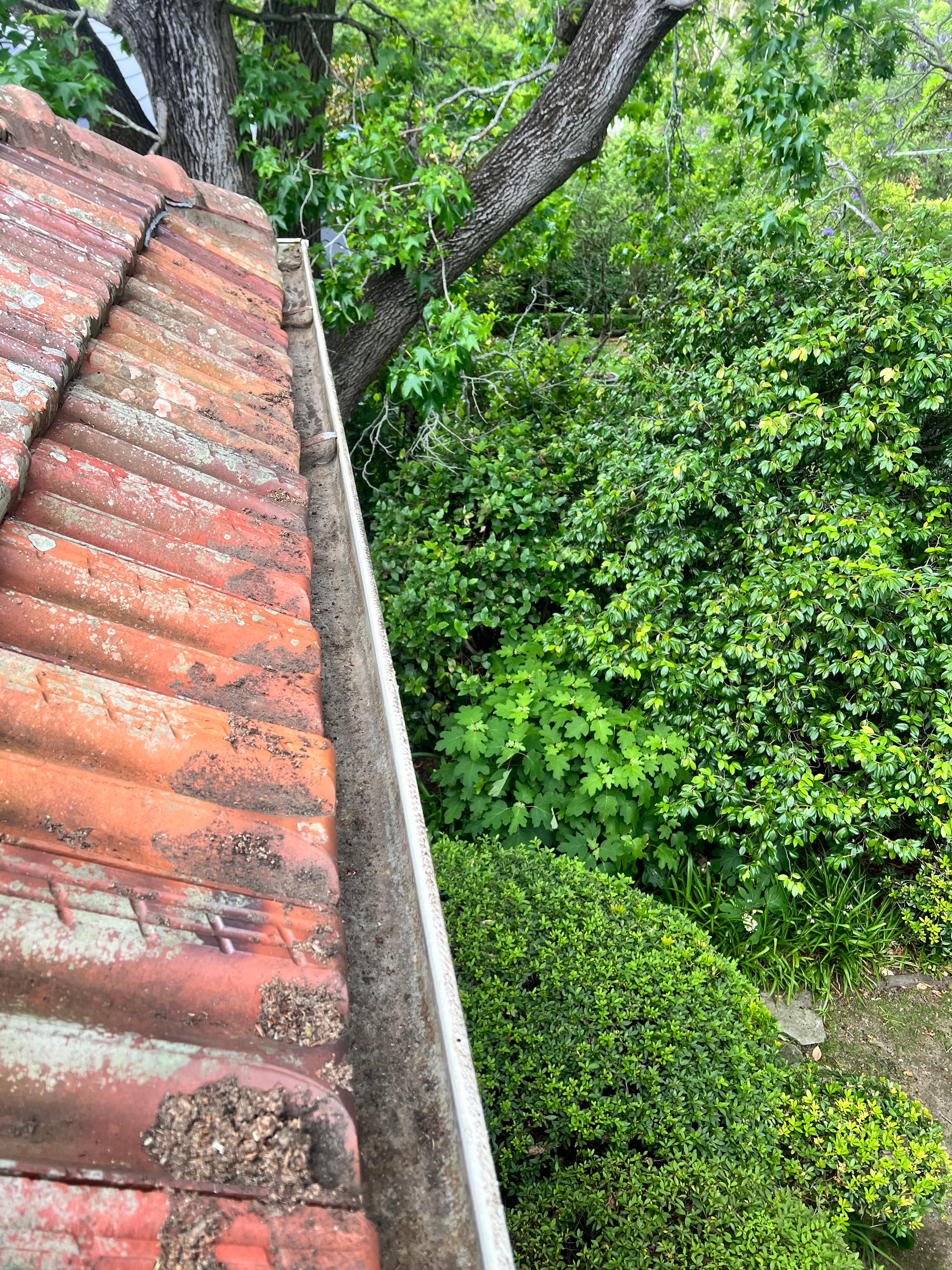 Gutter after cleaning