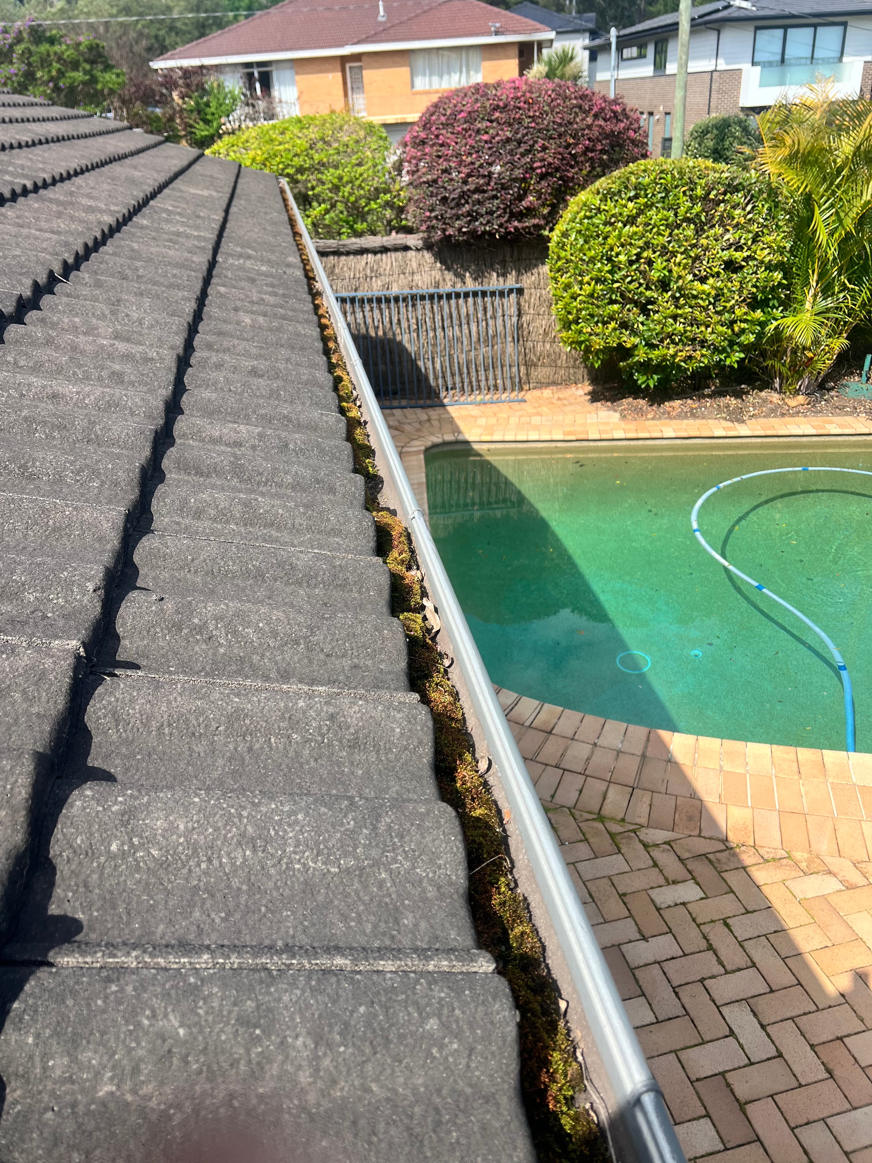 Gutters before cleaning