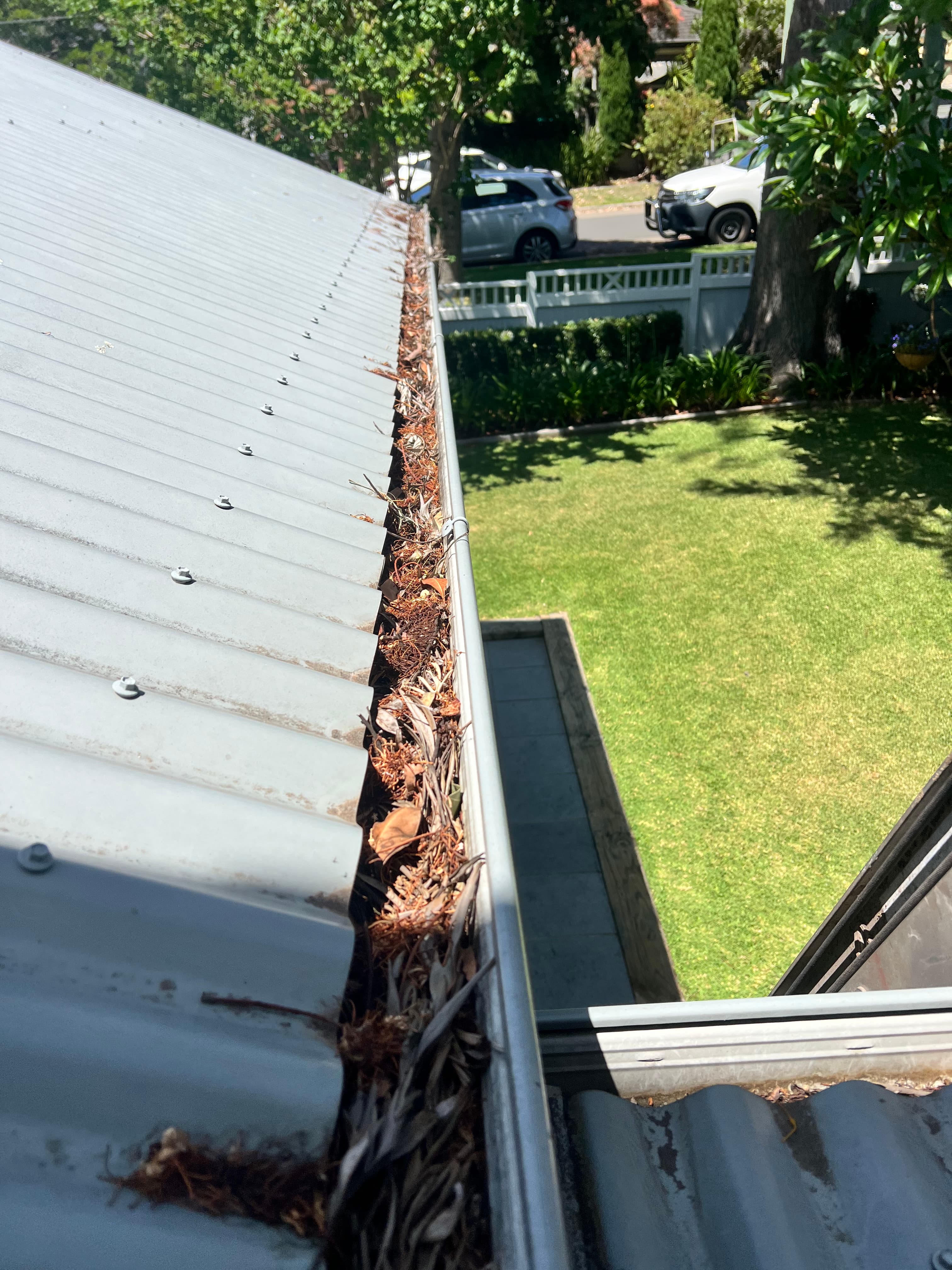 Colorbond gutter before cleaning