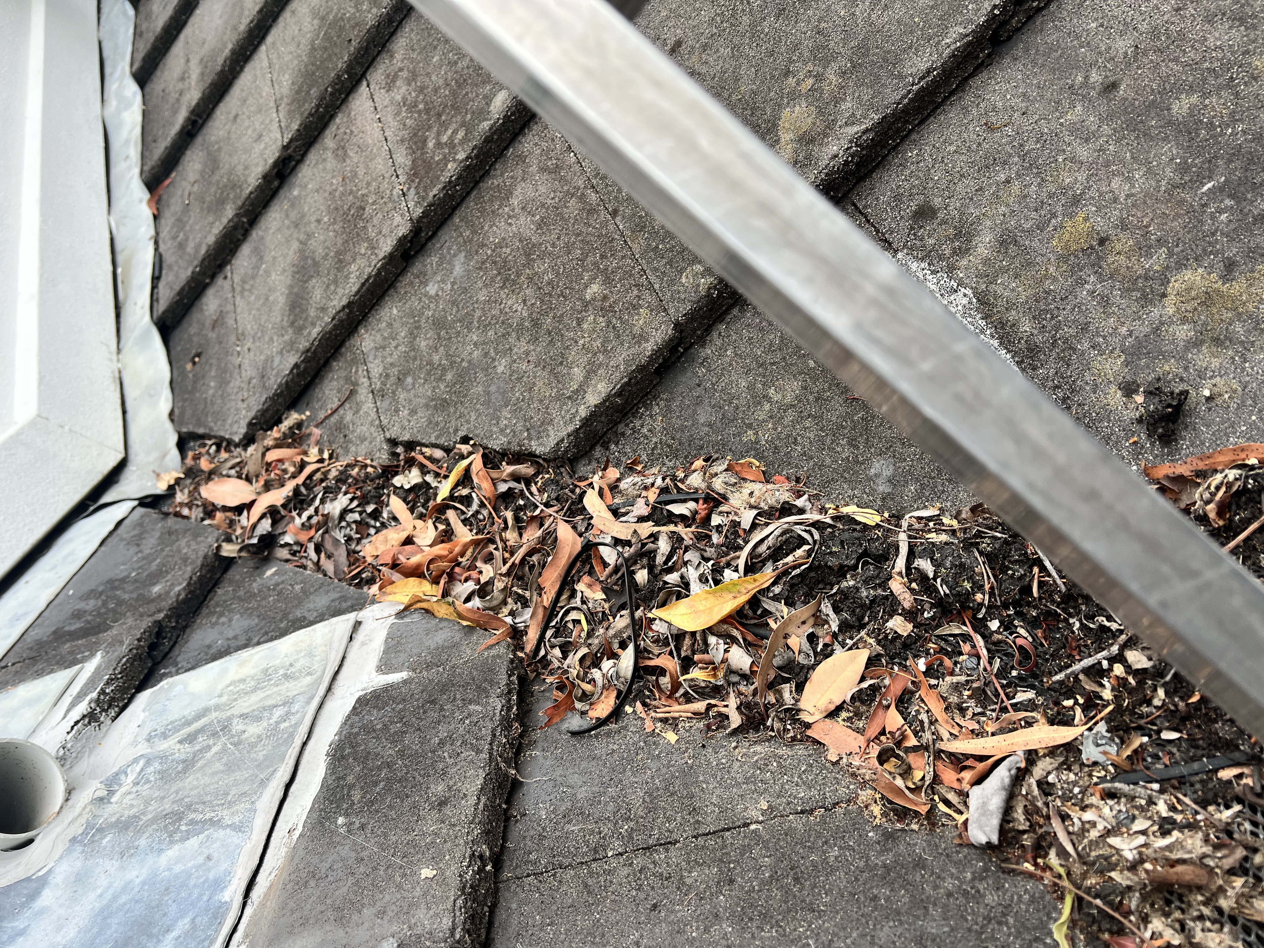 Gutters blocked with leaves