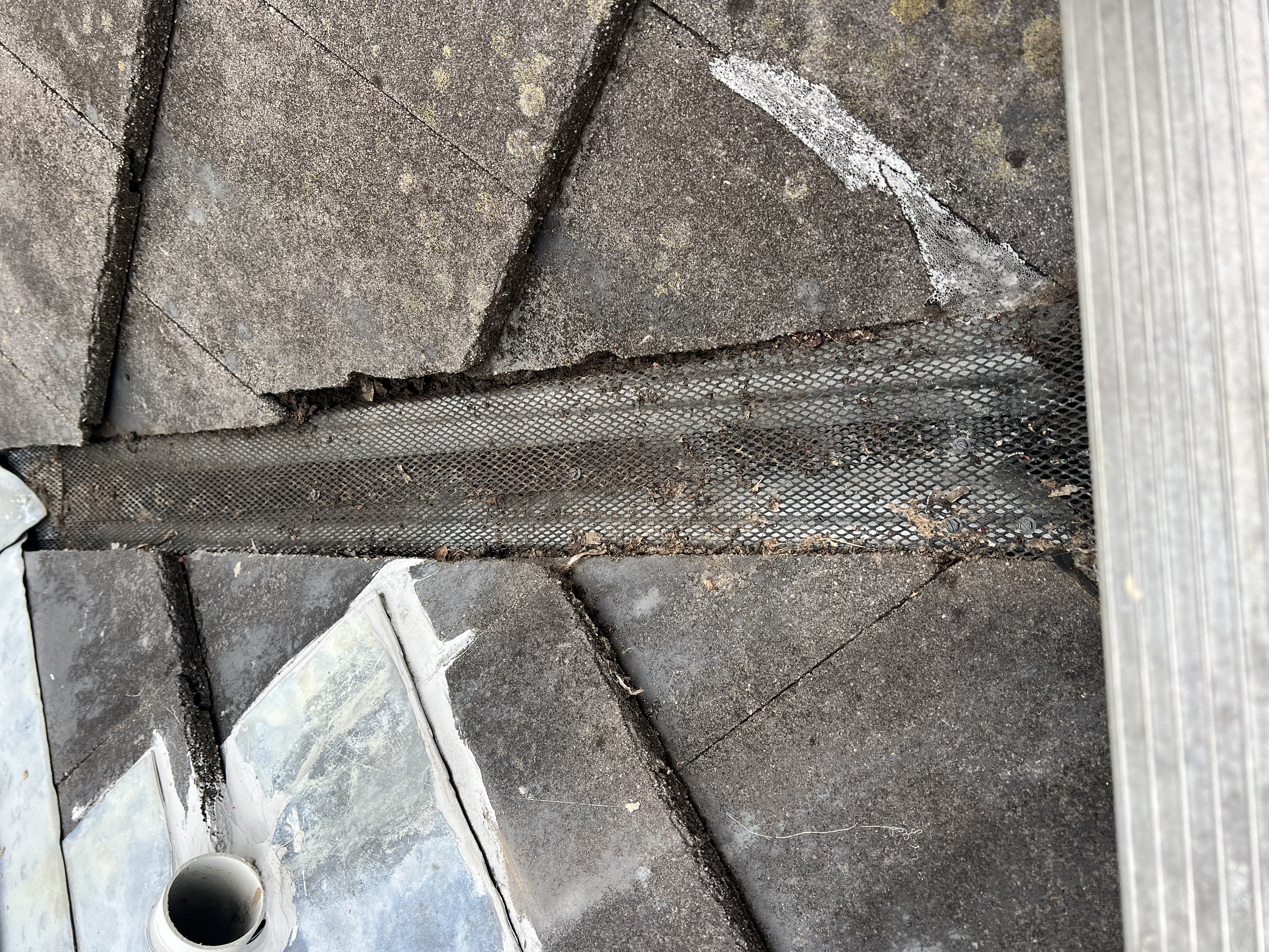 Clogged gutter guard
