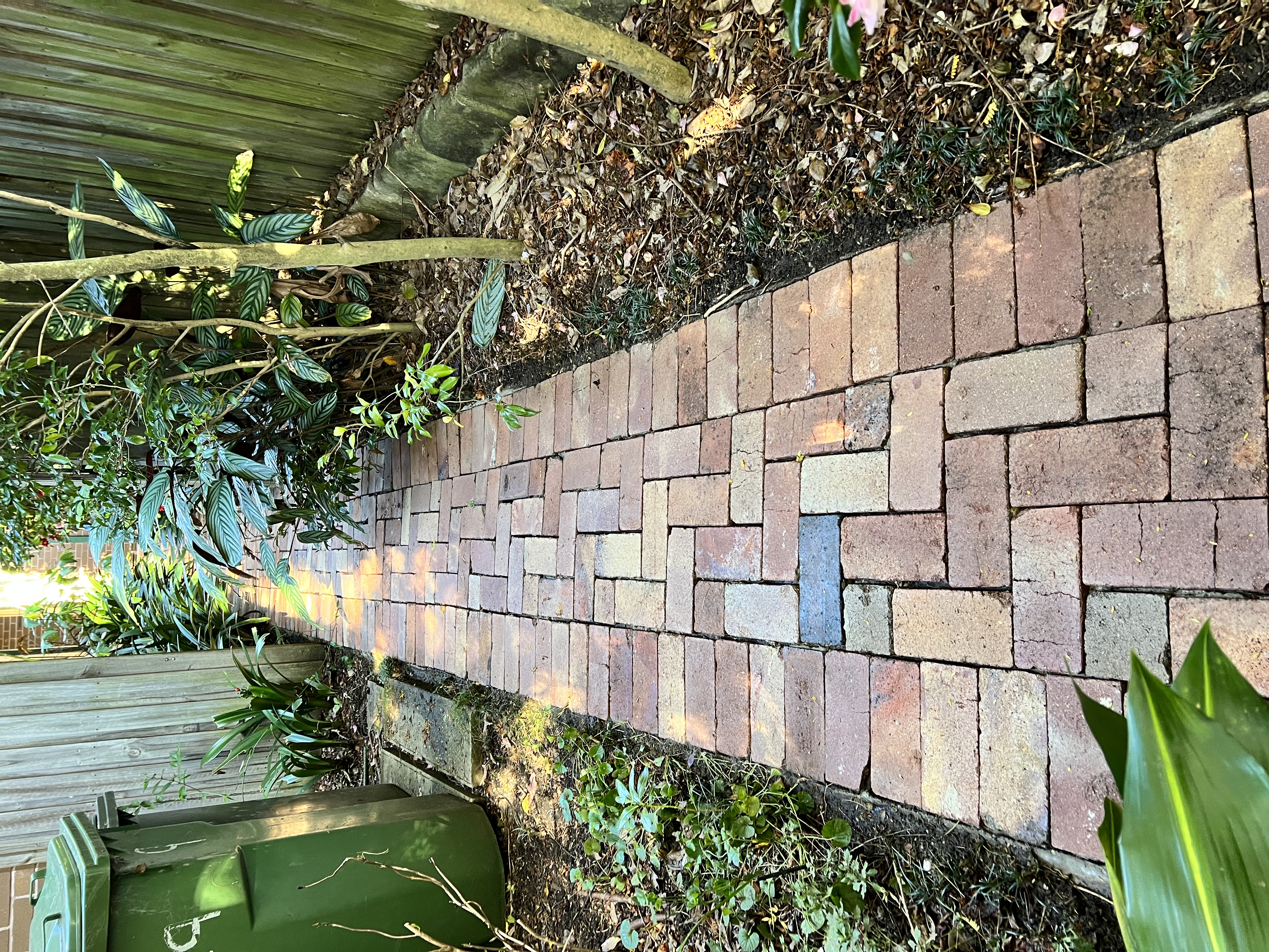 Brick path after cleaning