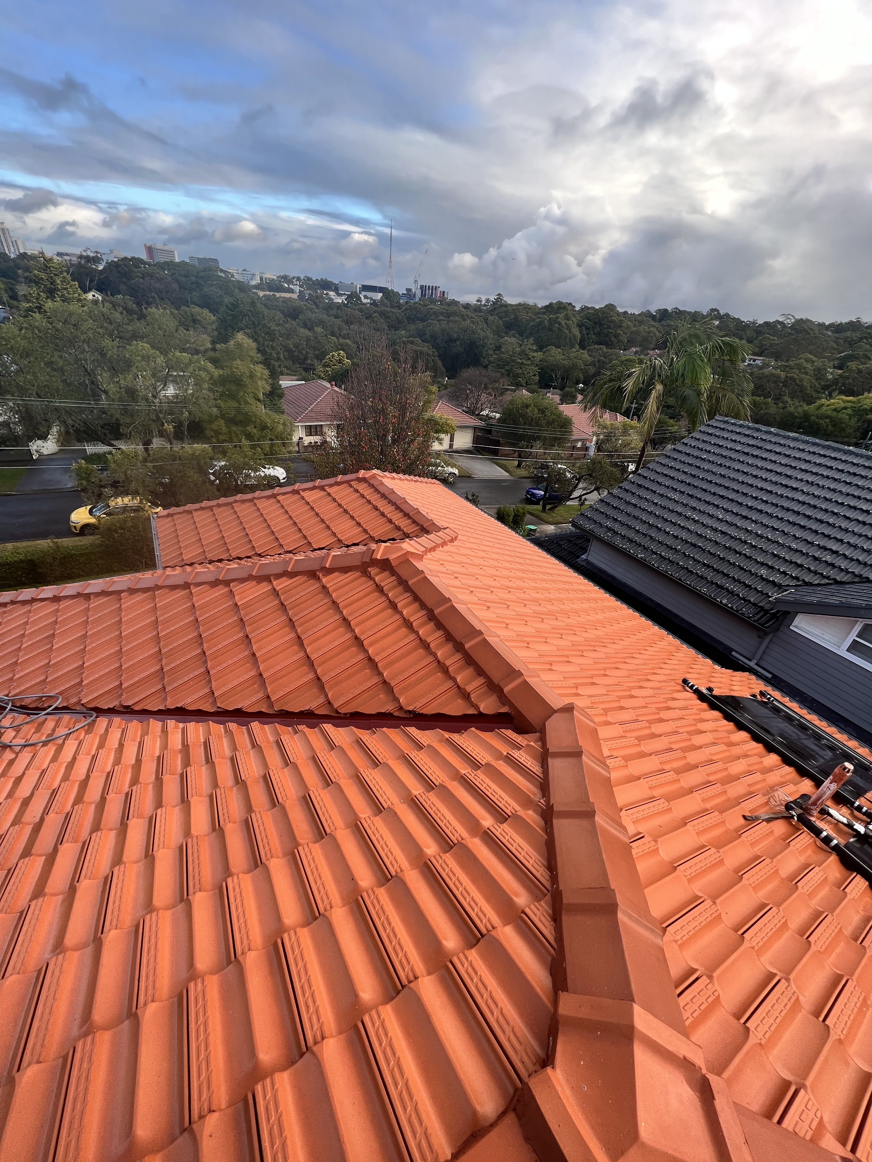 Roof with Sydney skyline