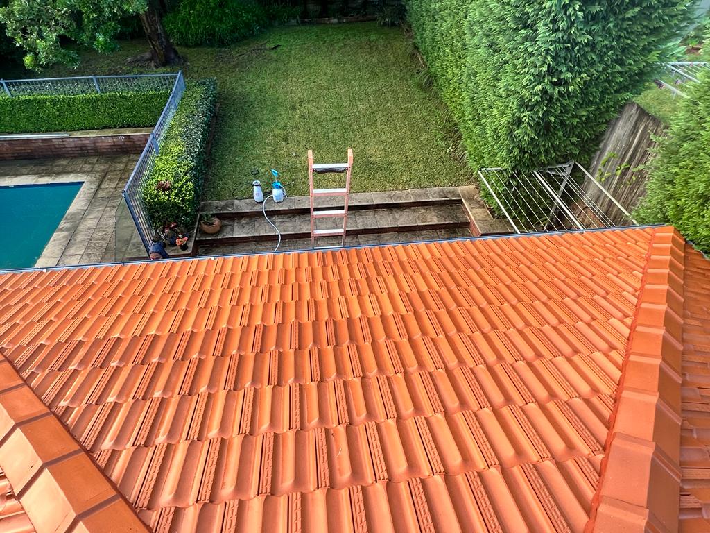 Terracotta roof after cleaning