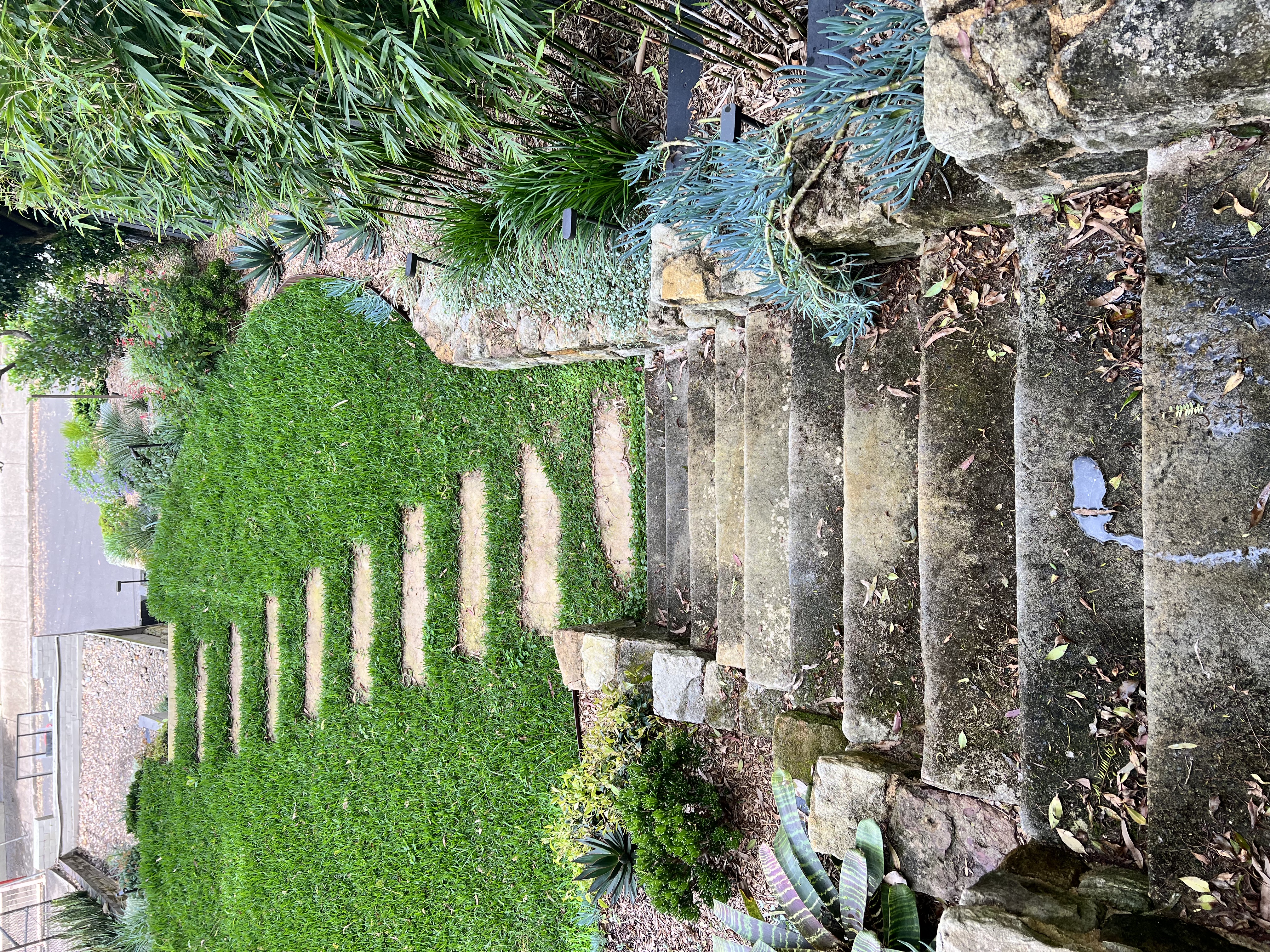 Sandstone steps before cleaning