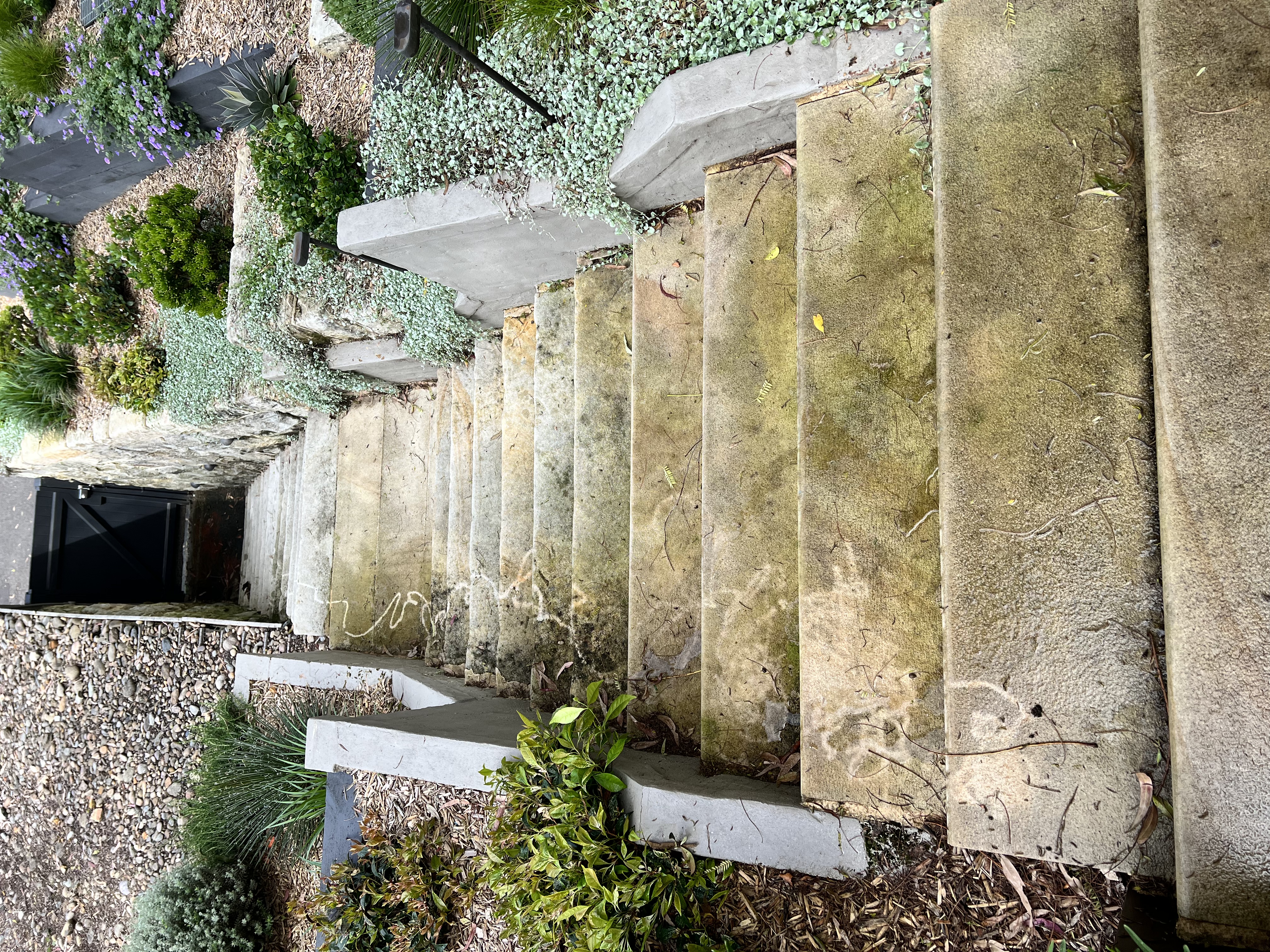 Concrete steps before cleaning