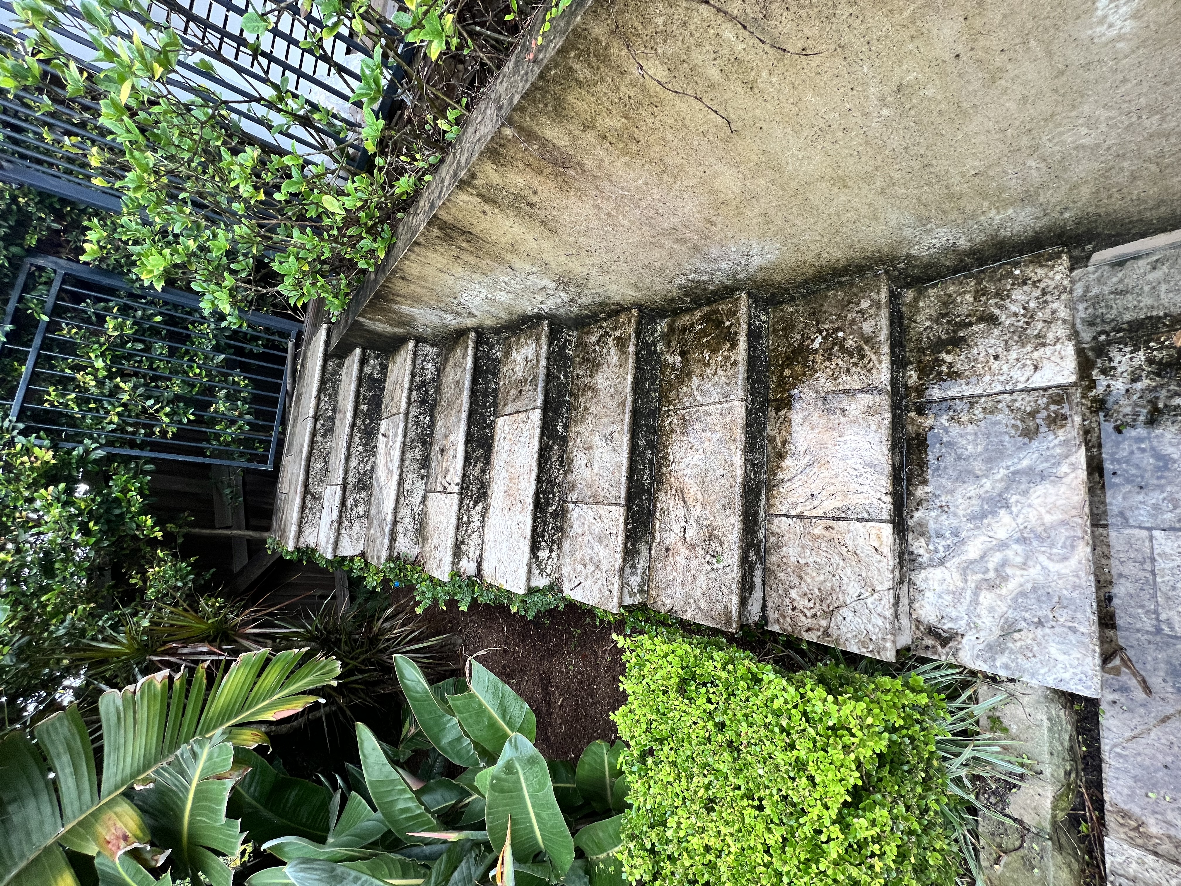 Stone steps before cleaning