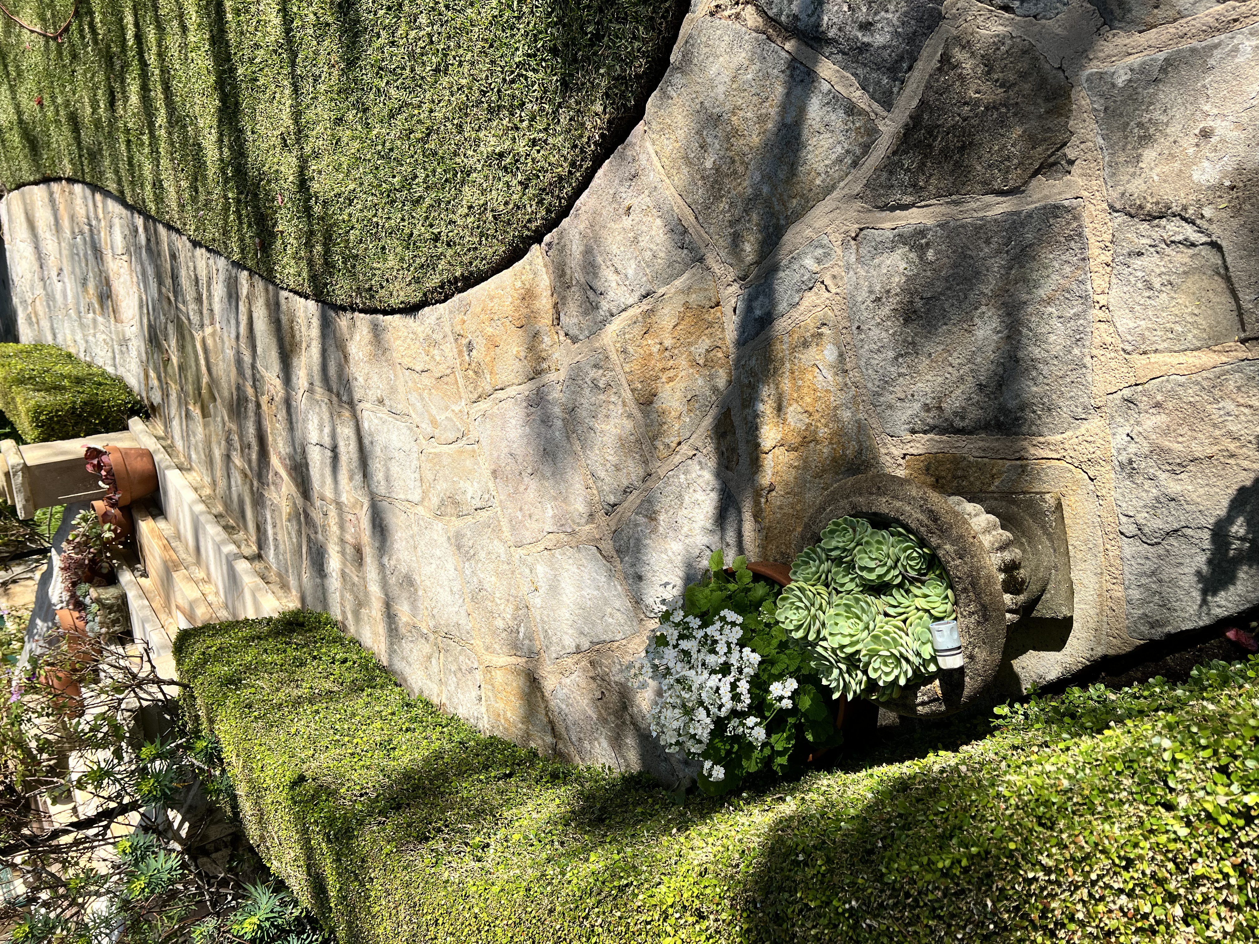 Stone path after cleaning