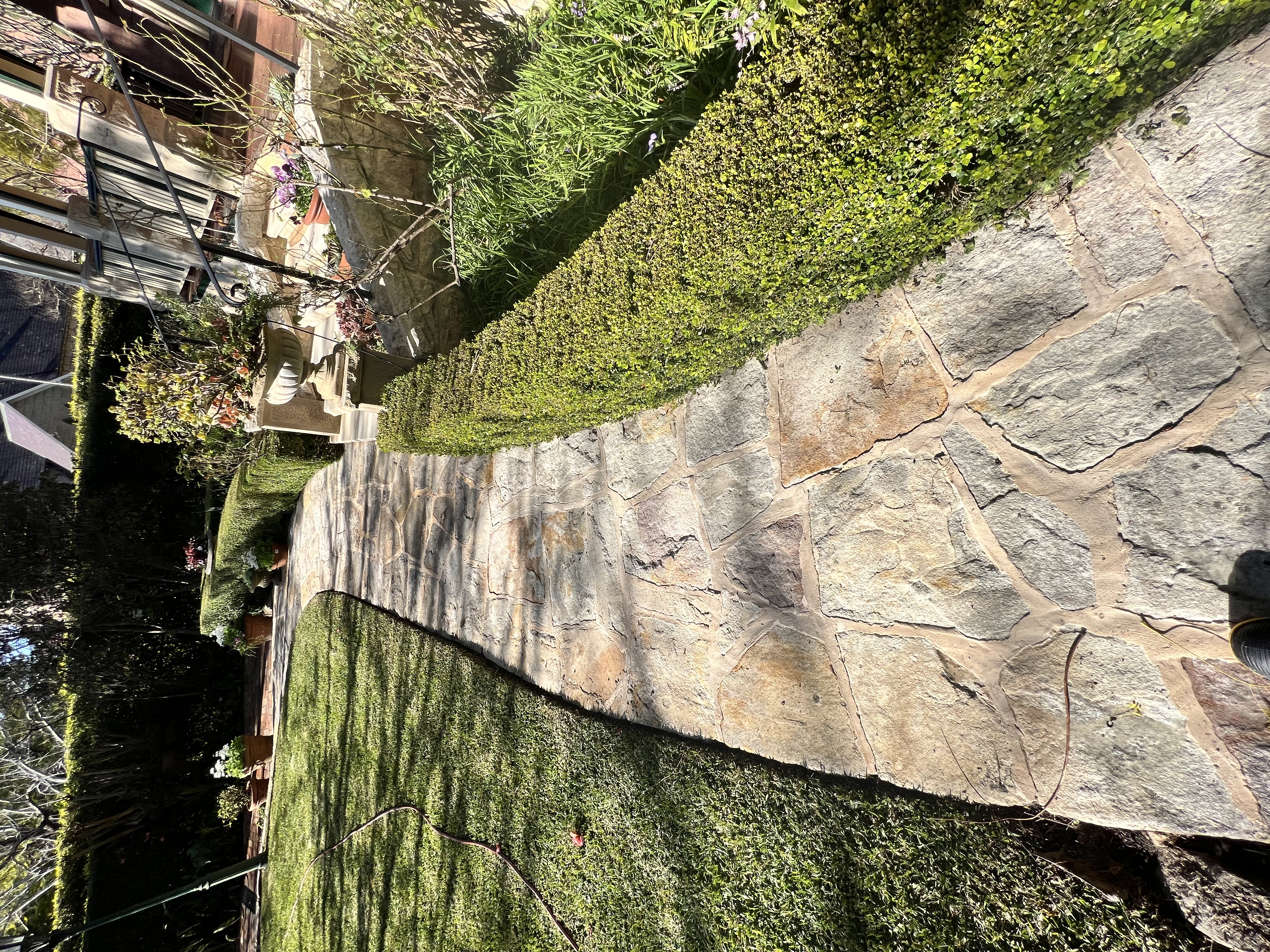 Stone garden path after cleaning