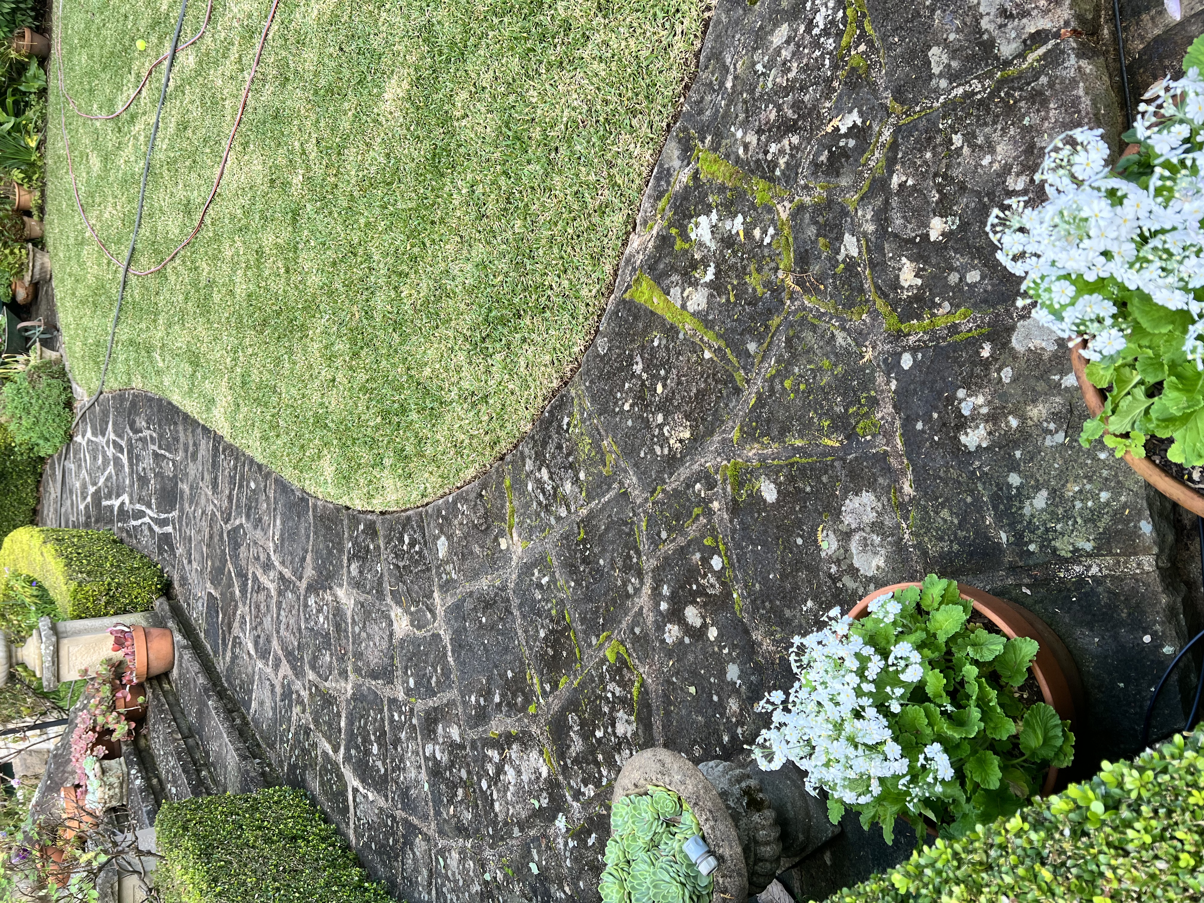 Stone path before cleaning