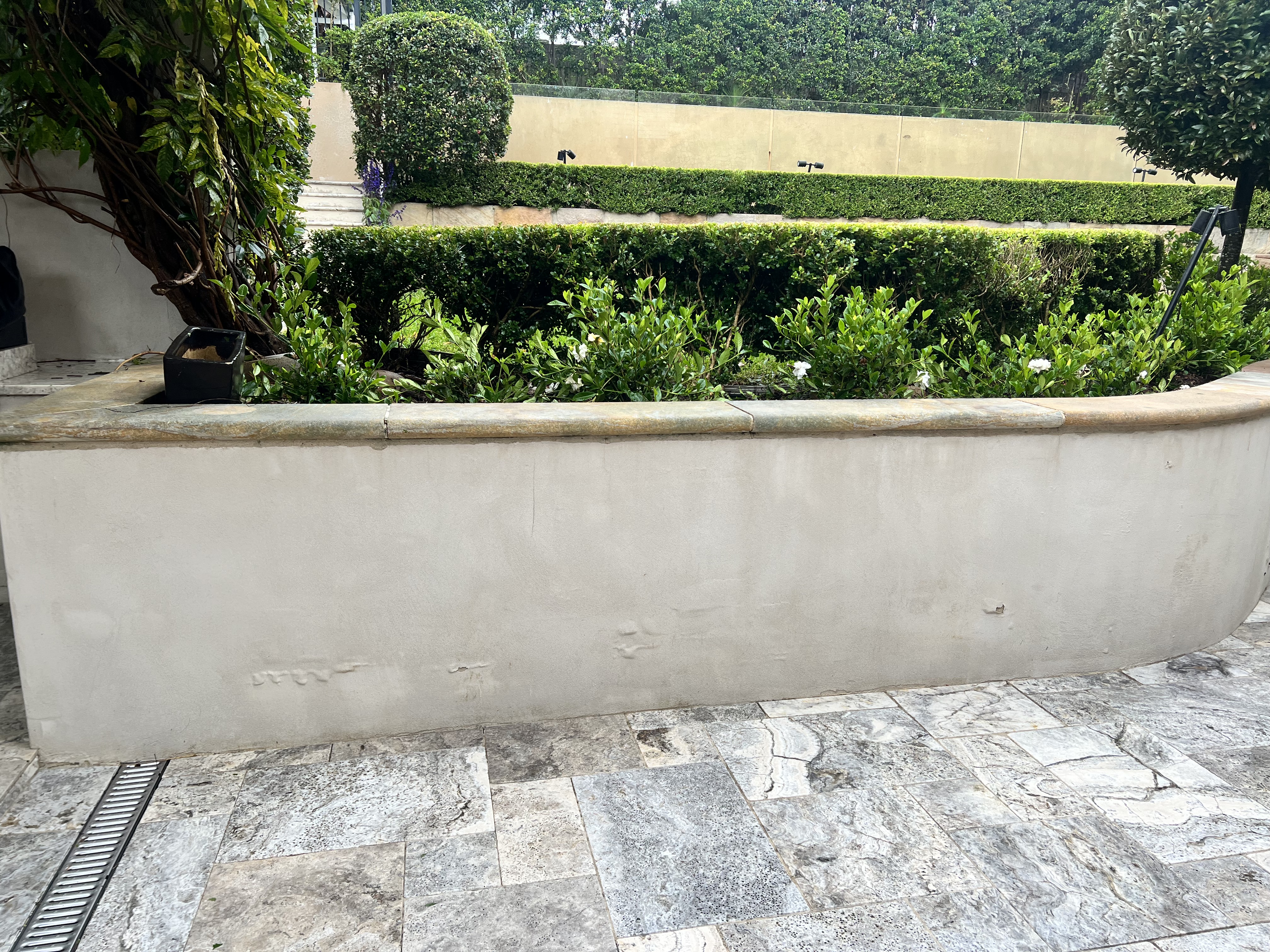 Garden wall after cleaning