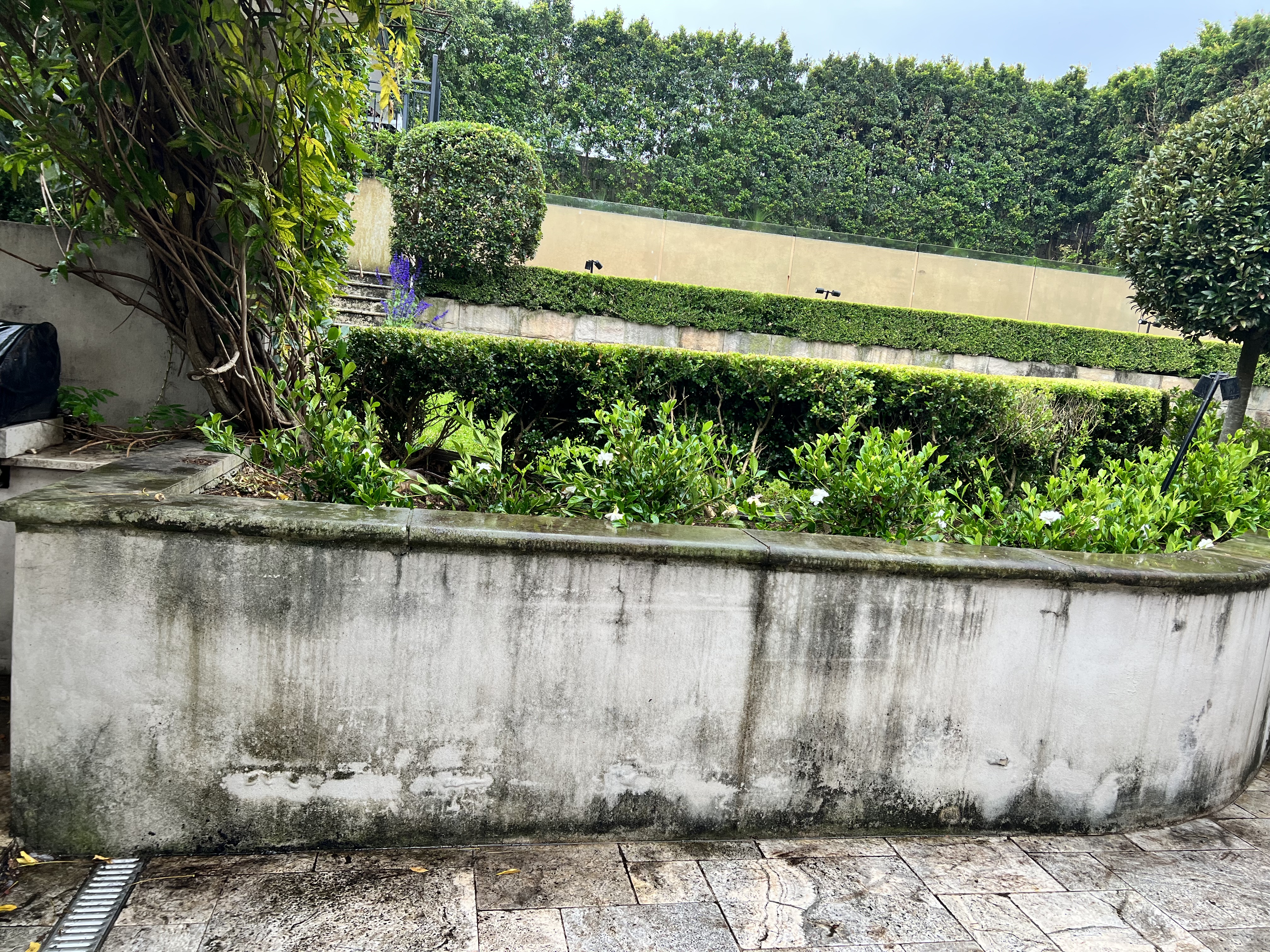 Garden wall before cleaning